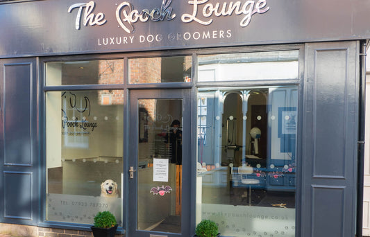 Dog Grooming Salon Design: Creating a Comfortable and Efficient Workspace