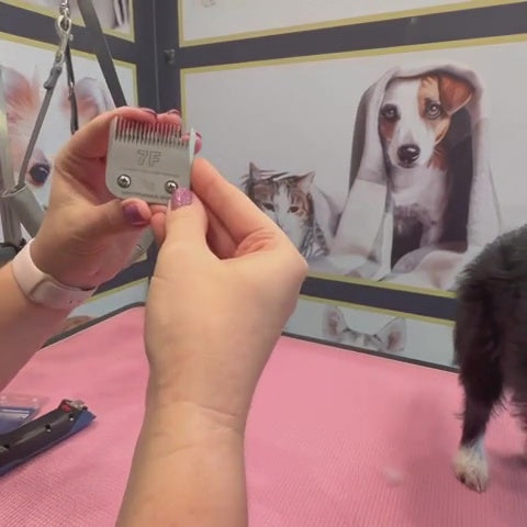 7F Dog Clipper Blade (3.2 mm)